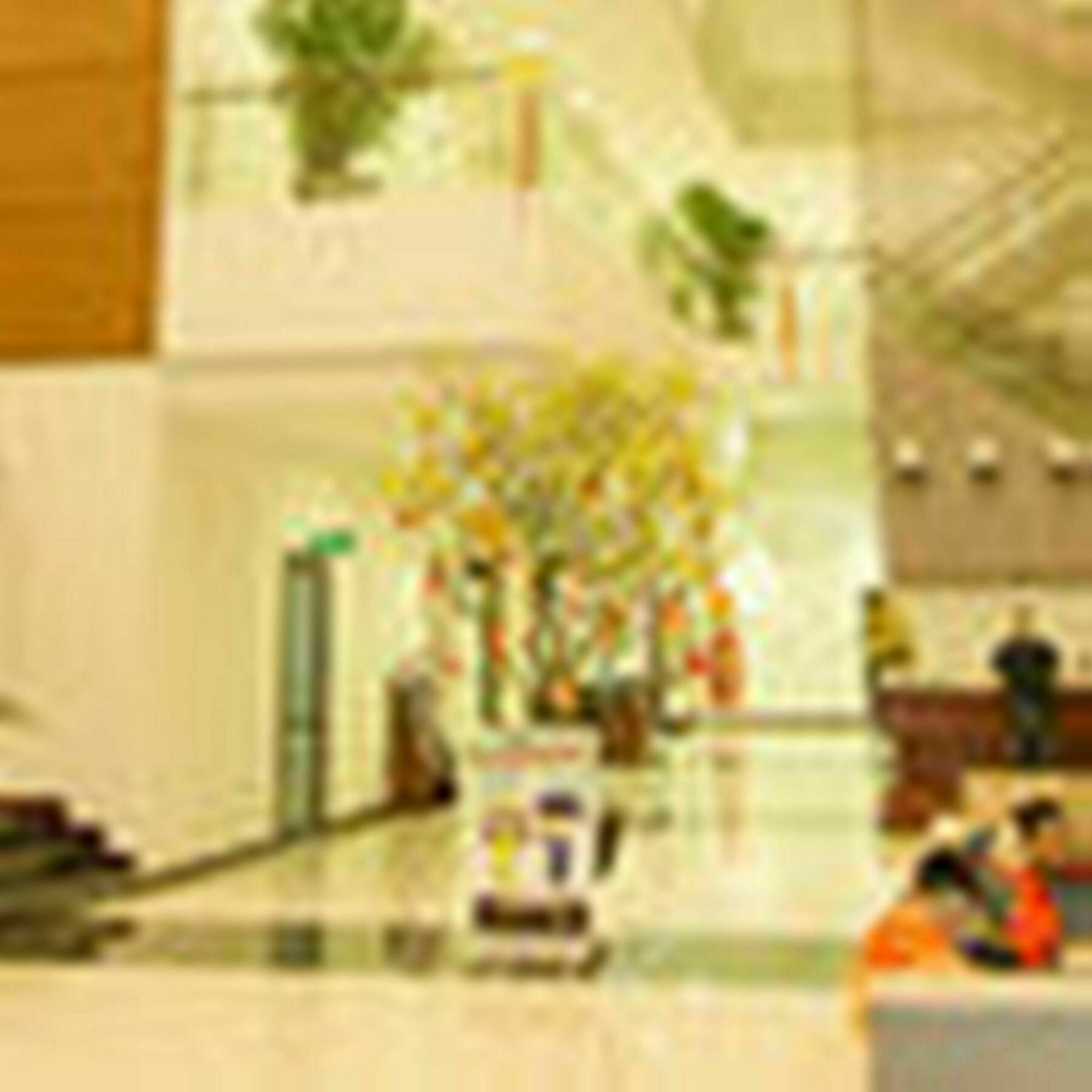 Da Nang Han River Hotel Buitenkant foto